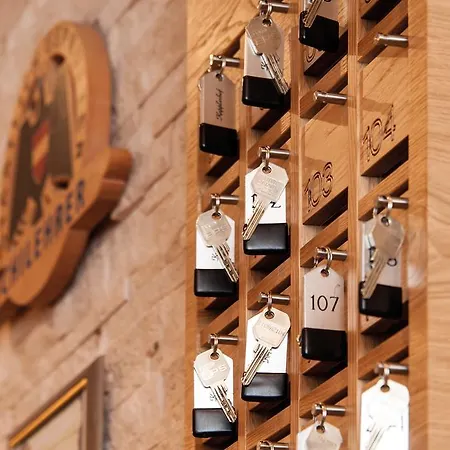 Sport Garni Kapplerhof - Ischgl/kappl