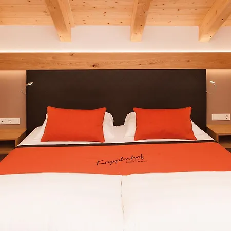 Sport Garni Kapplerhof - Ischgl/kappl 3*